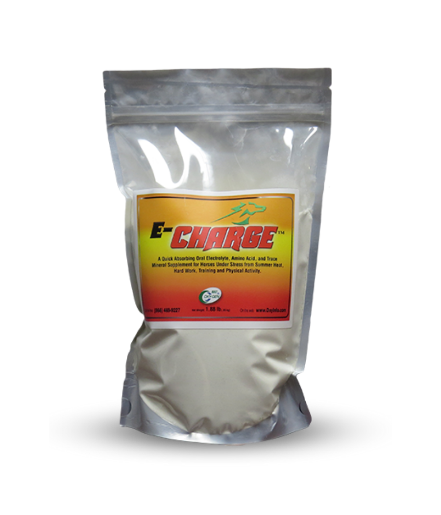 E-Charge Powder